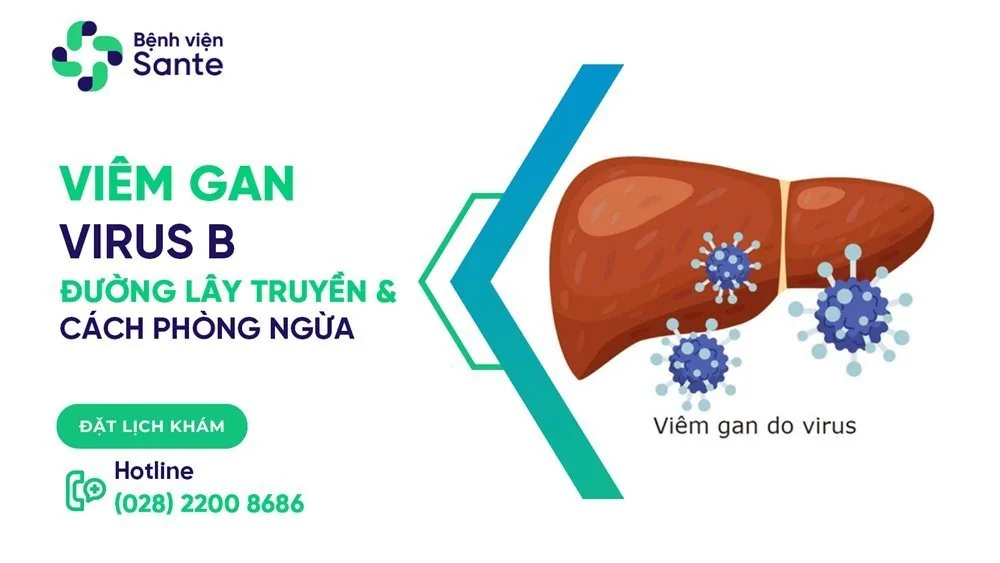 Bệnh viện Sante - Viêm gan virus B: Đường lấy truyền và cách phòng ngừa