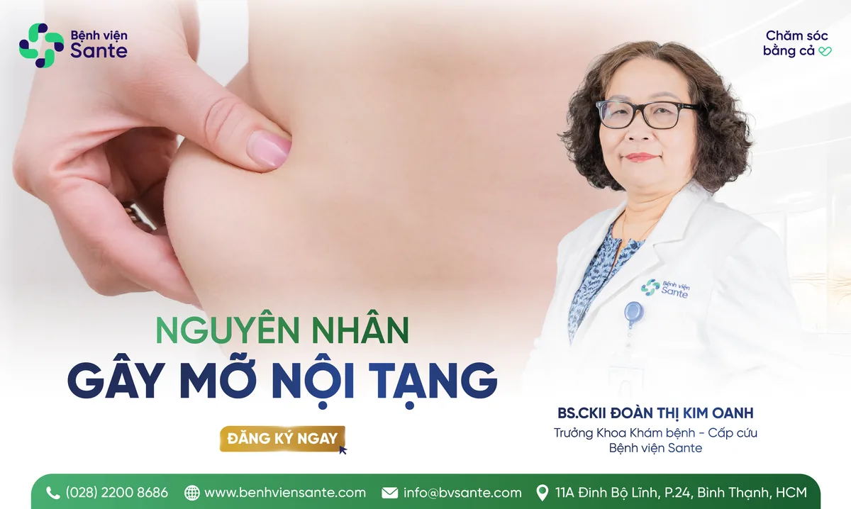 NGUYÊN NHÂN GÂY MỠ NỘI TẠNG - Bệnh viện SANTE Bình Thạnh, TP.HCM NGUYÊN NHÂN GÂY MỠ NỘI TẠNG - Bệnh viện SANTE Bình Thạnh, TP.HCM